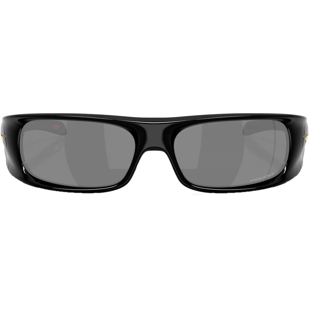 Oakley gafas deportivas HIGHLAND 01