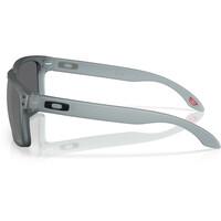 Oakley gafas deportivas HOLBROOK 02