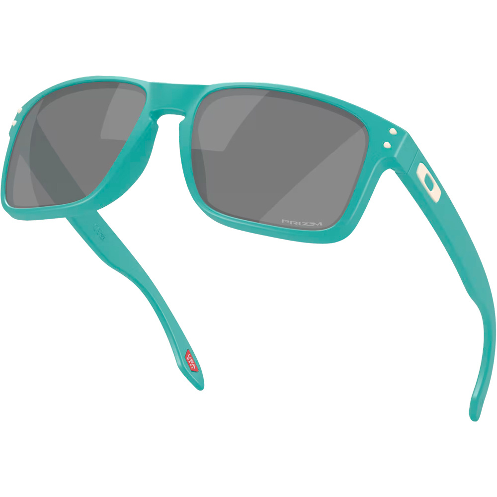 Oakley gafas deportivas HOLBROOK Holbrook Mt Pacific w/ Prizm Black 04