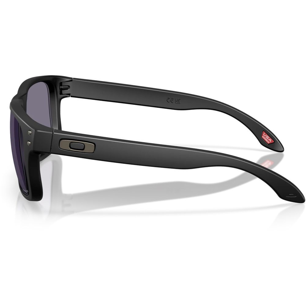 Oakley gafas deportivas HOLBROOK S 03