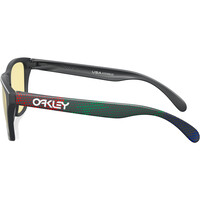 Oakley gafas deportivas infantiles Frogskins XS Mtt Carbon w/Prizm Gaming 02