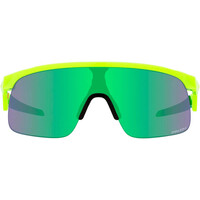 Oakley gafas deportivas infantiles RESISTOR RTNA BRN W/ PRIZM JADE 01