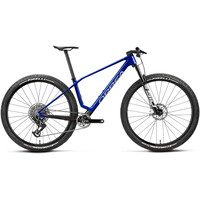 ALMA M-LTD 2026