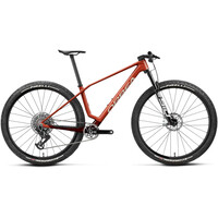 ALMA M-LTD 2026