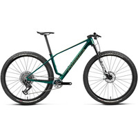 ALMA M-LTD 2026