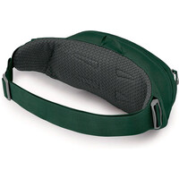 Osprey riñoneras montaña Daylite Waist 01