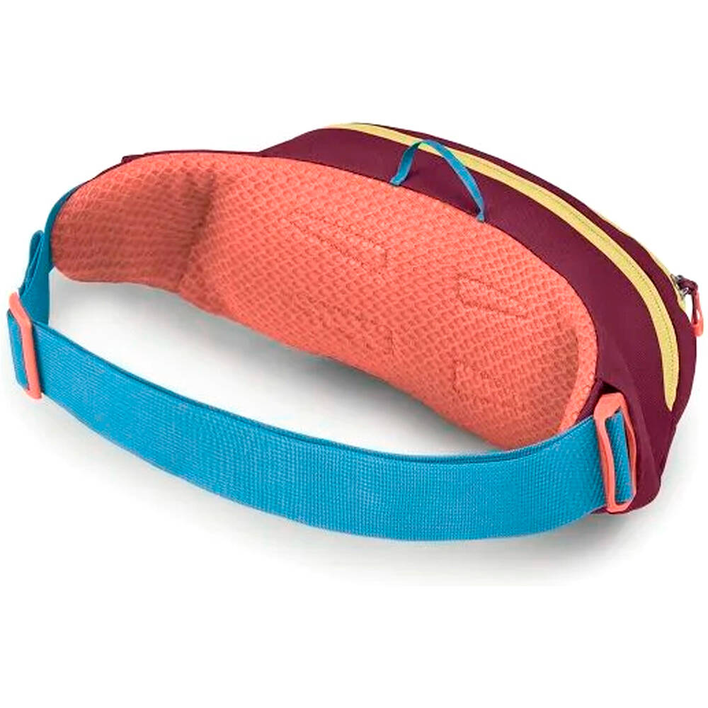 Osprey riñoneras montaña Daylite Waist 01