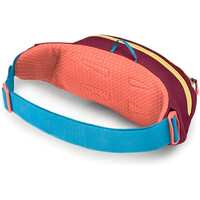 Osprey riñoneras montaña Daylite Waist 01
