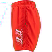 Puma bañador playa hombre PUMA SWIM MEN CATS MID 03