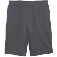 Puma bermudas hombre ESS 2 COLOR No. 1 Lo vista trasera
