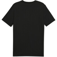 Puma camiseta de fútbol oficiales D.Alaves teamFINAL C vista trasera