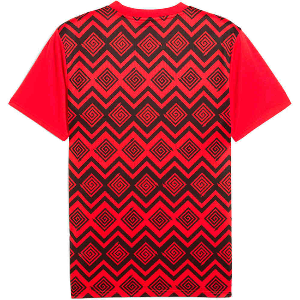 Puma camiseta de fútbol oficiales EGIPTO 25 Prematch SS Jersey 05