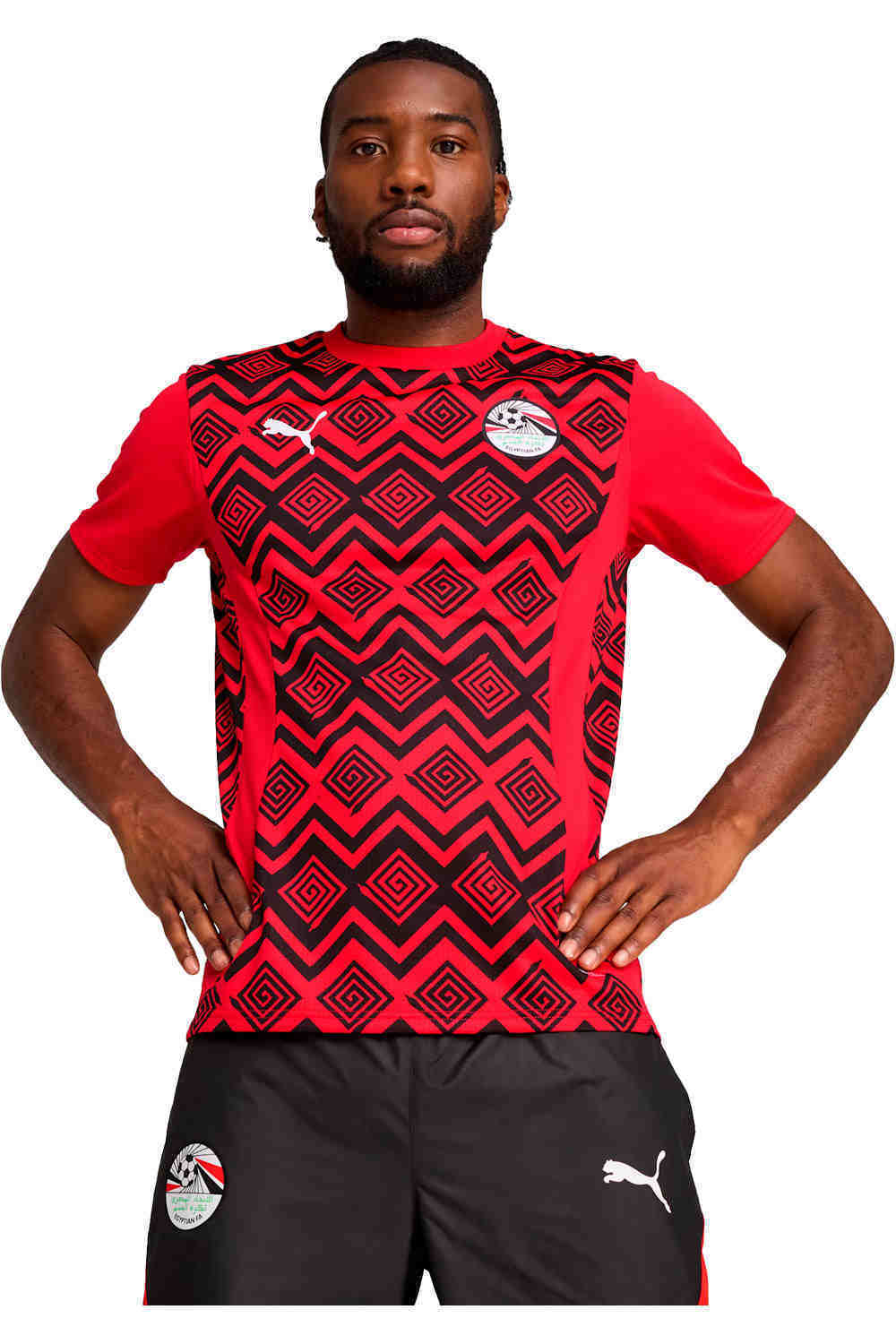 Puma camiseta de fútbol oficiales EGIPTO 25 Prematch SS Jersey vista frontal