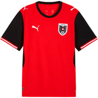 Puma camiseta de fútbol oficiales FB Home Jersey Repl 04