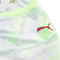 Puma camiseta de fútbol oficiales FPF Replica Match Je 05