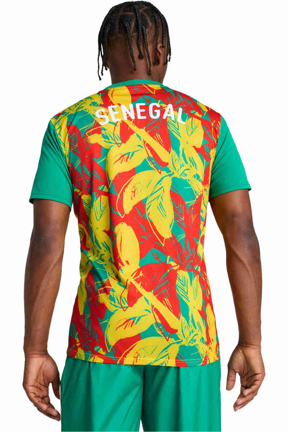 Puma camiseta de fútbol oficiales FSF Prematch SS Jersey vista trasera