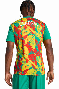 Puma camiseta de fútbol oficiales FSF Prematch SS Jersey vista trasera