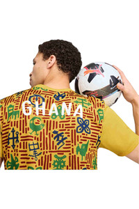 Puma camiseta de fútbol oficiales GIRONA 25 Premmatch SS Jersey 03