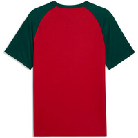 Puma camiseta de fútbol oficiales MARRUECOS 25 WARM UP JERSEY 03