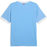 Puma camiseta de fútbol oficiales MFF Home Jersey Replica 05