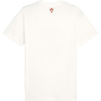Puma camiseta de fútbol oficiales PORTUGAL 25 ftblNRGY Tee 03