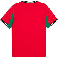 Puma camiseta de fútbol oficiales PORTUGAL 25 Home Wn Jersey Replica 05