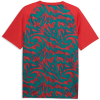 Puma camiseta de fútbol oficiales PORTUGAL 25 WARM UP JERSEY 03