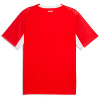 Puma camiseta de fútbol oficiales SFV Home Jersey Repl 04