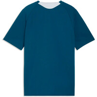 Puma camiseta entrenamiento niño FPF Training Jersey 04