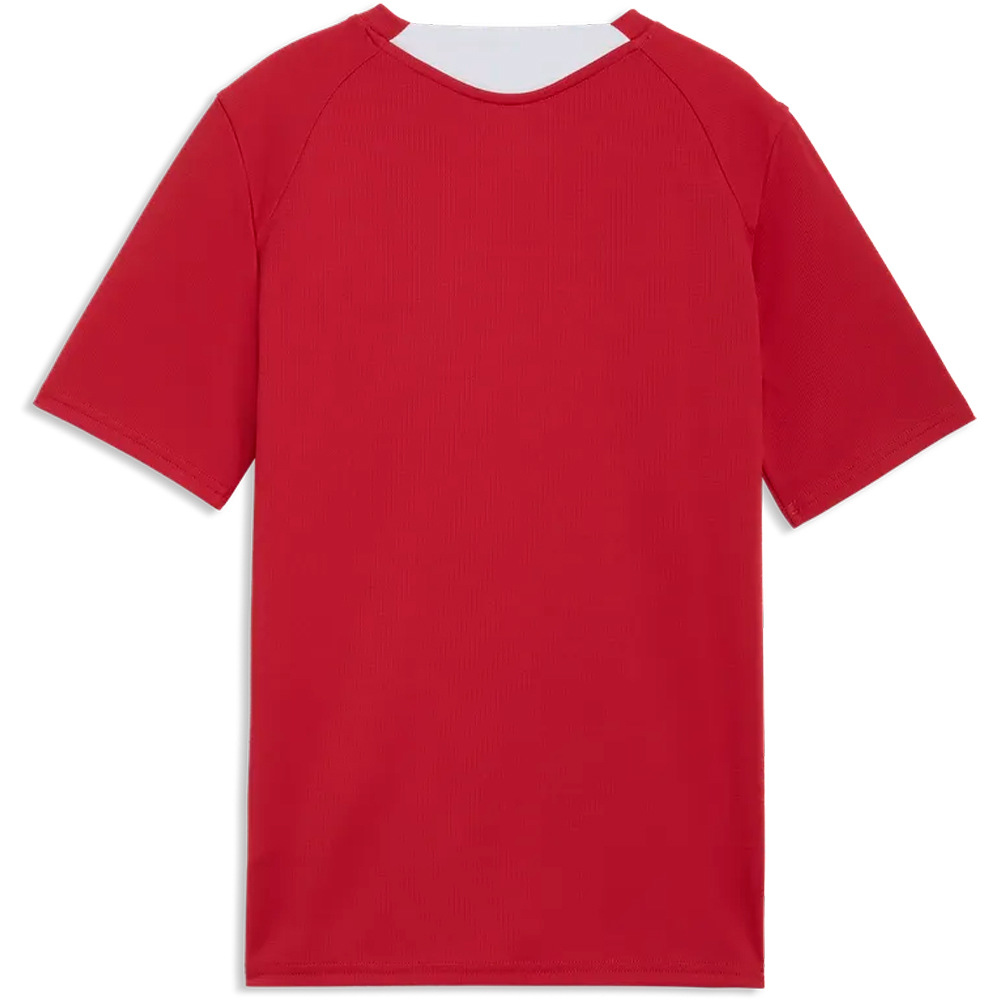 Puma camiseta entrenamiento niño FPF Training Jersey 04