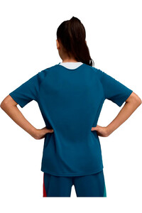 Puma camiseta entrenamiento niño FPF Training Jersey vista trasera