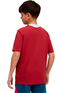 Puma camiseta entrenamiento niño FPF Training Jersey vista trasera