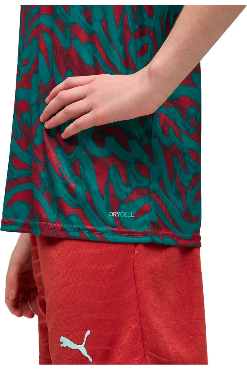 Puma camiseta entrenamiento niño FPF Warm Up Jersey J vista detalle