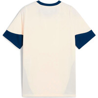 Puma camiseta entrenamiento niño PORTUGAL 25 Training Jersey Jr 04