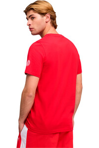 Puma camiseta manga corta hombre ACM FtblCulture Tee vista trasera