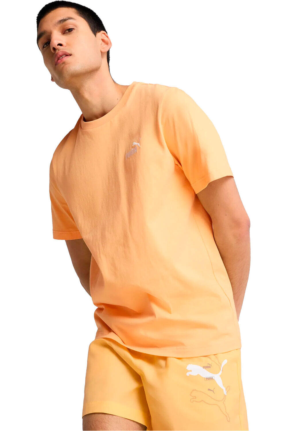 Puma camiseta manga corta hombre ESS Small No. 1 Logo Tee (s) vista frontal