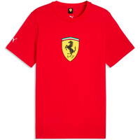 Ferrari Colored Shie