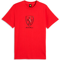 FERRARI TONAL SHIELD