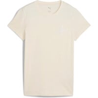 ESSENTIALS SCRIPT
