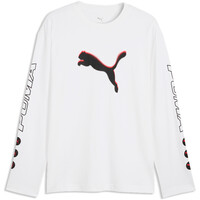 Puma camiseta manga larga hombre PUMA SPORT Street Re vista detalle