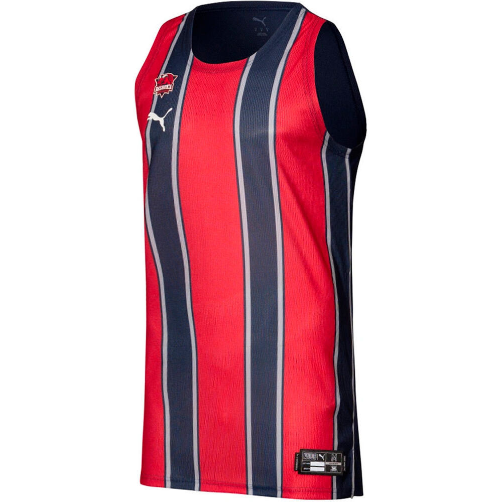 Puma camiseta oficial baloncesto BASKONIA 26 Pro Home Je vista frontal