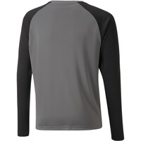 Puma camiseta portero niño teamPACER GK LS Jersey Jr vista trasera