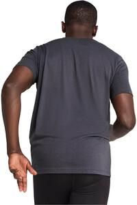 Puma camiseta técnica manga corta hombre GRAPHICS SEASONS UNISEX TEE vista trasera