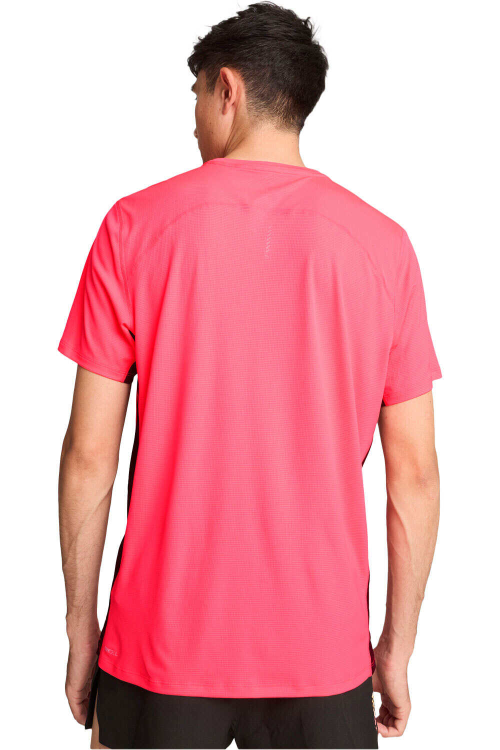 Puma camiseta técnica manga corta hombre RUN FAVORITE VELOCIT vista trasera