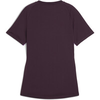 Puma camisetas fútbol manga corta individualBLAZE Jersey 03