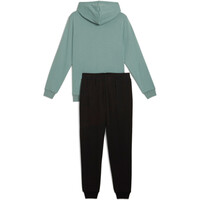 Puma chándal hombre Hooded Sweat Suit TR vista trasera