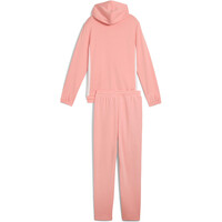 Puma chándal niña Metallic Hooded Sweat Suit TR G 03