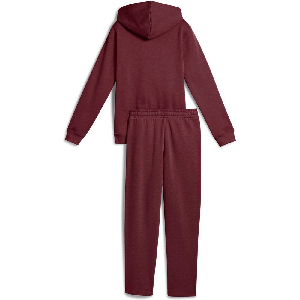 Puma chándal niño Metallic Hooded Swea 04