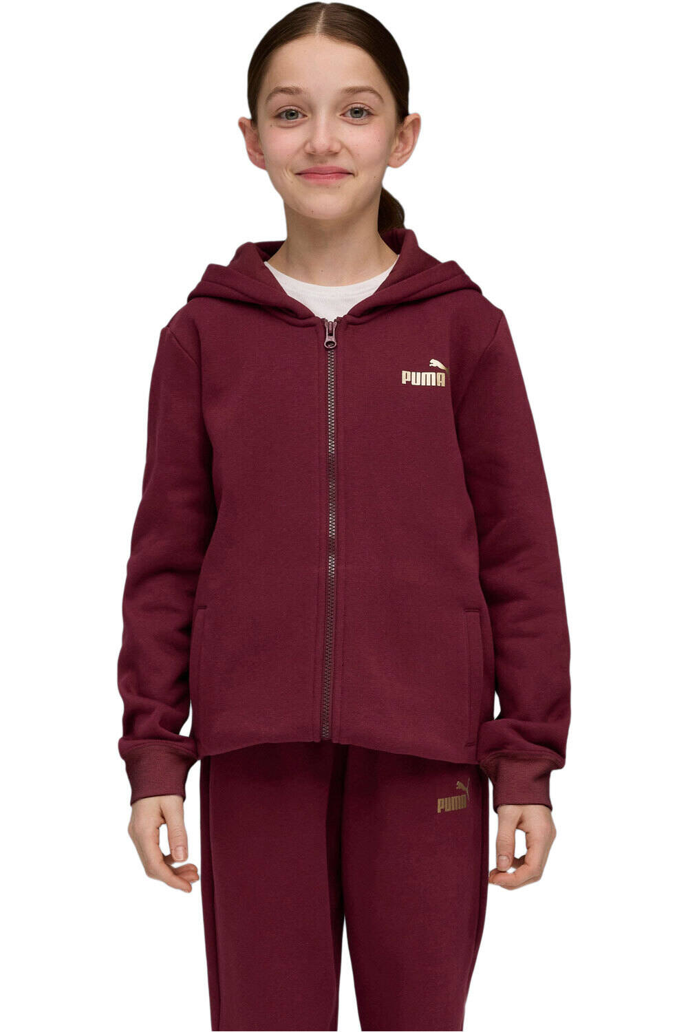 Puma chándal niño Metallic Hooded Swea vista detalle