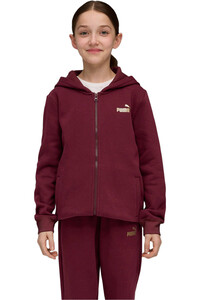 Puma chándal niño Metallic Hooded Swea vista detalle